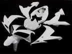 Kit de carenado de inyección sin pintar para YZF-R1 04-06 - Blanco - Estilo original #OYO87902498