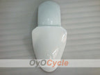 Carenado Delantero Guardabarros Para Kawasaki 00-02 Ninja ZX-6R #OYO87912909